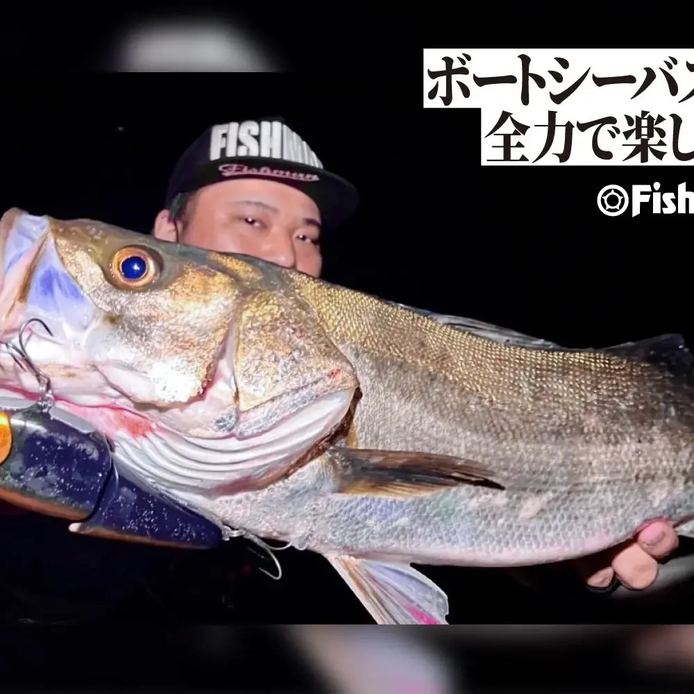 ビッグベイト？トップ？あの手この手で全力で楽しむ「ボートシーバス