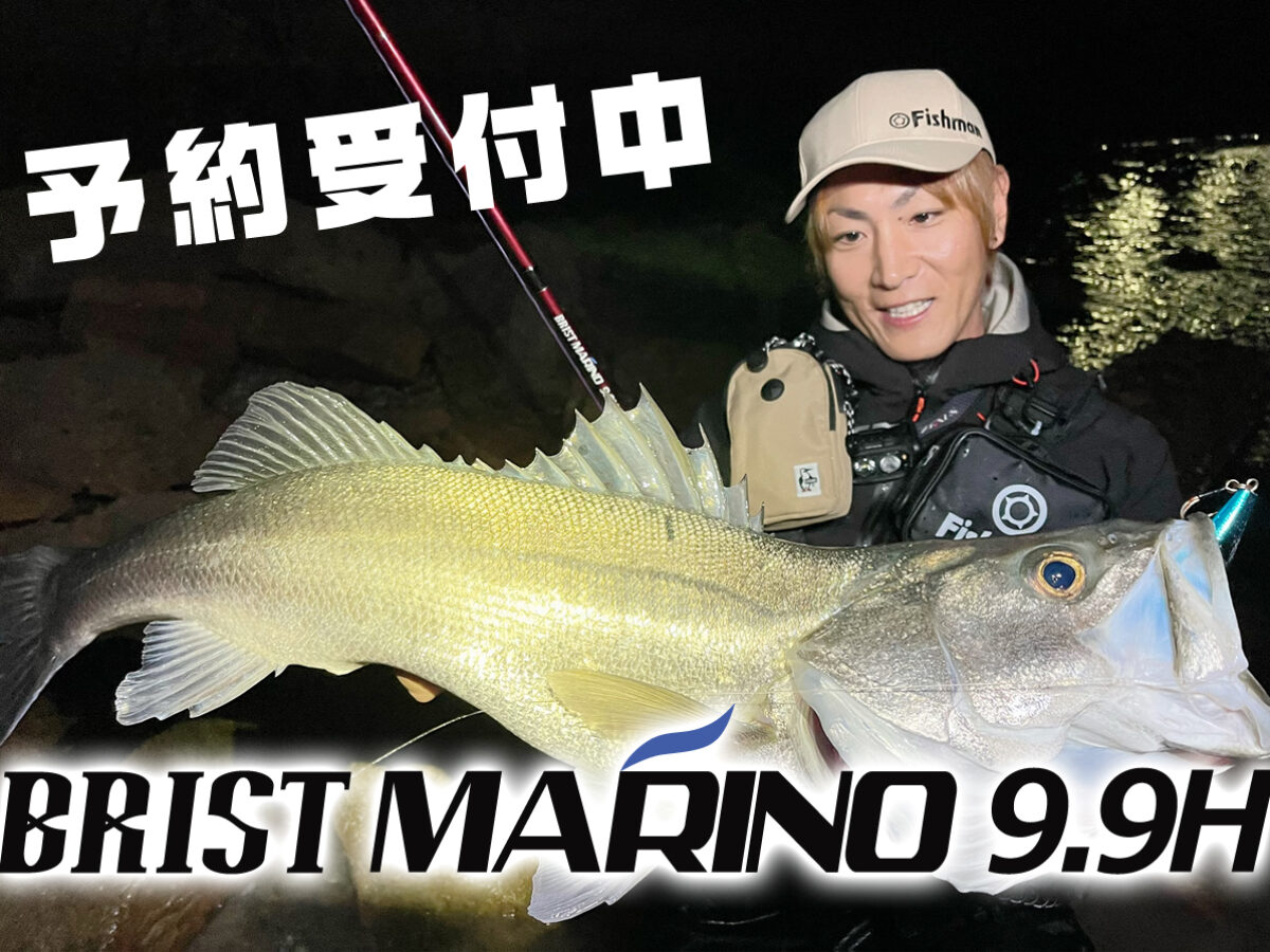 フィッシュマン(Fishman) ブリスト バジュラダーナ(BRIST VAJRADANA) 10XH Fishman(フィッシュマン)ロッド |  激安釣具通販 ルアーフィッシング キャスターハウス
