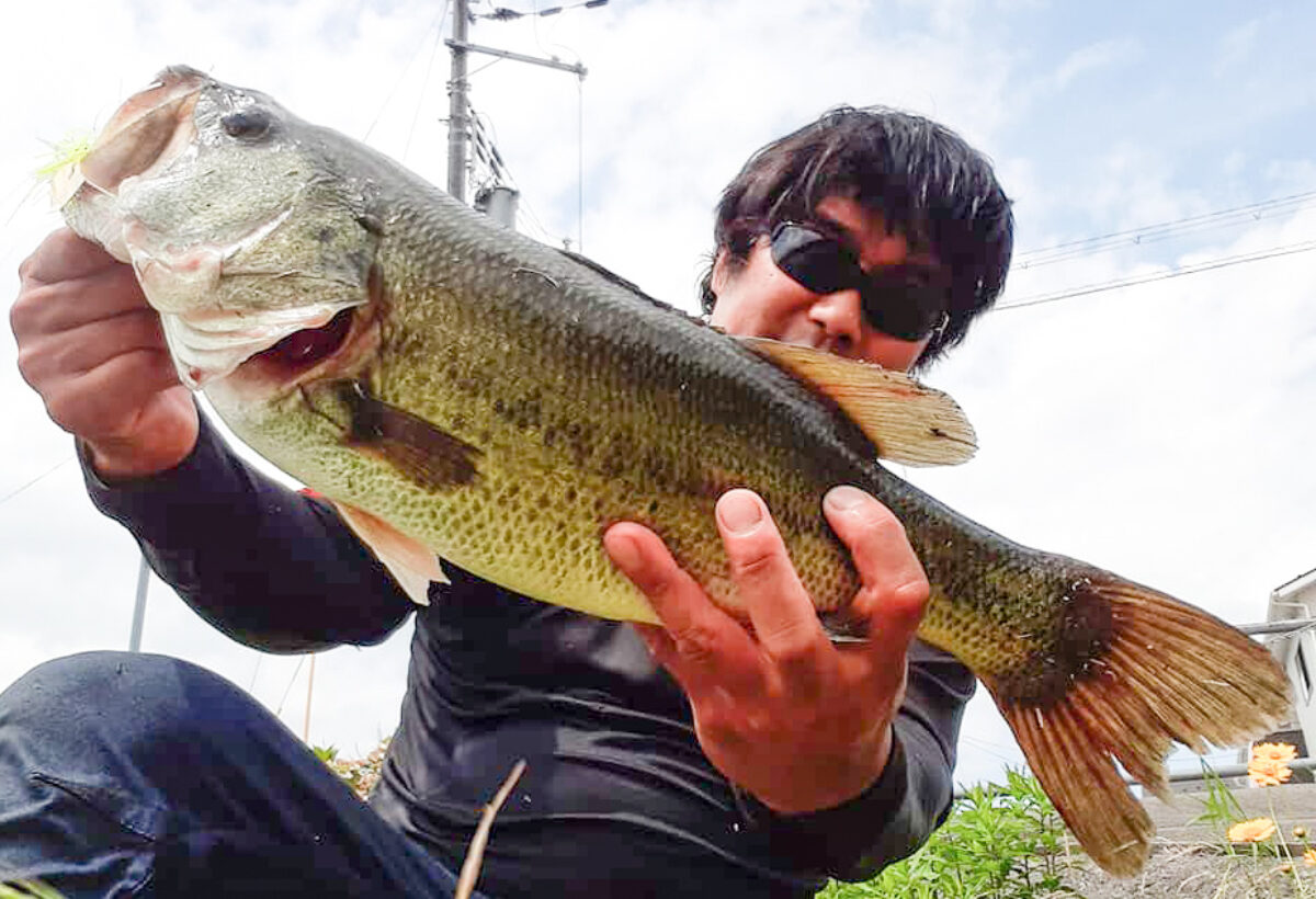 Bassにも対応 BC4 6.10MXHプロト - Fishman（フィッシュマン）