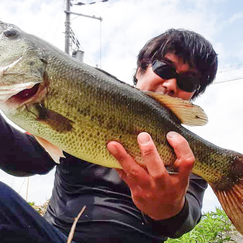 Bassにも対応 BC4 6.10MXHプロト - Fishman（フィッシュマン）