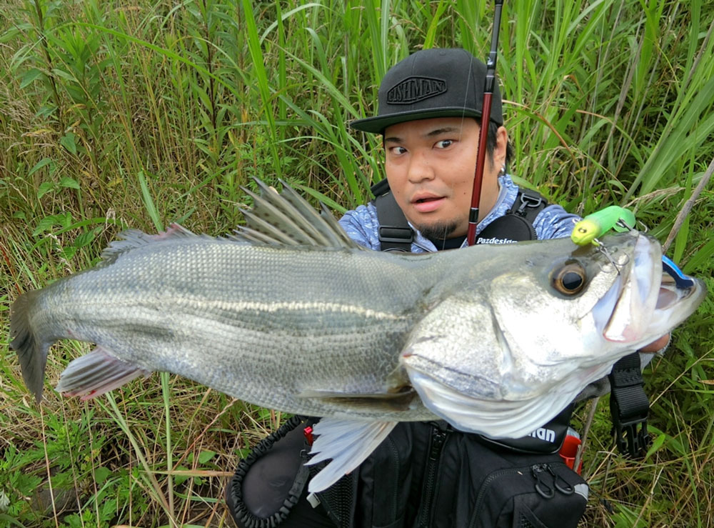 Fishmanらしさ』が溢れた非常に使いやすくて楽しいロッドBeams LOWER ...