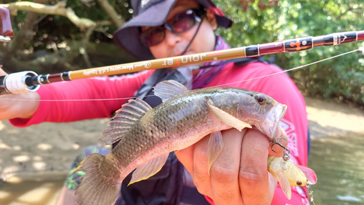 Beams blancsierra52UL Equalityでカヤックピン撃ちゲーム - Fishman