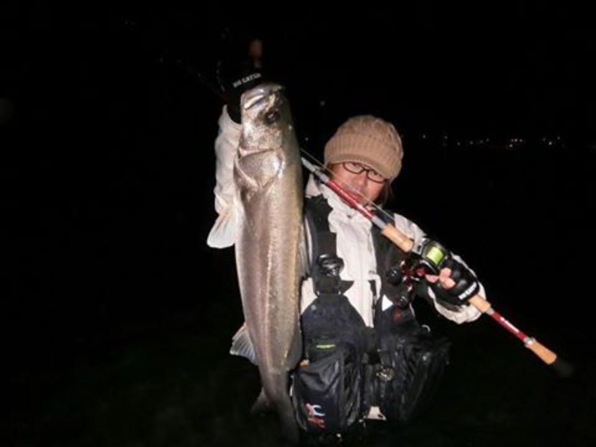 Beams7.10MH Fishman