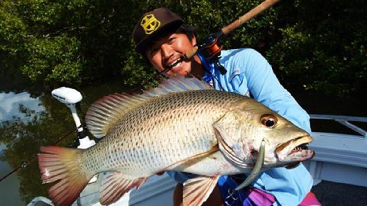 11377362_473461279486191_33111