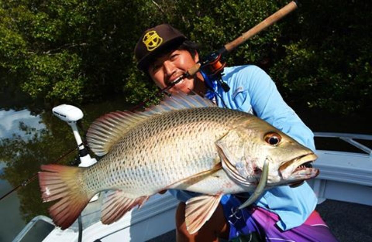 Beams 7.0L で獲った50UPのマングローブジャック - Fishman