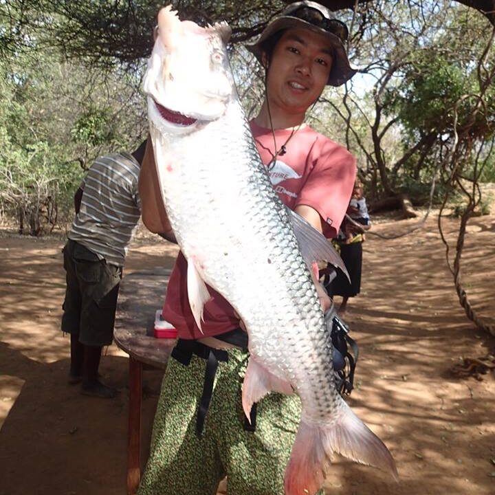 アフリカでタイガーフィッシュ - Fishman（フィッシュマン）