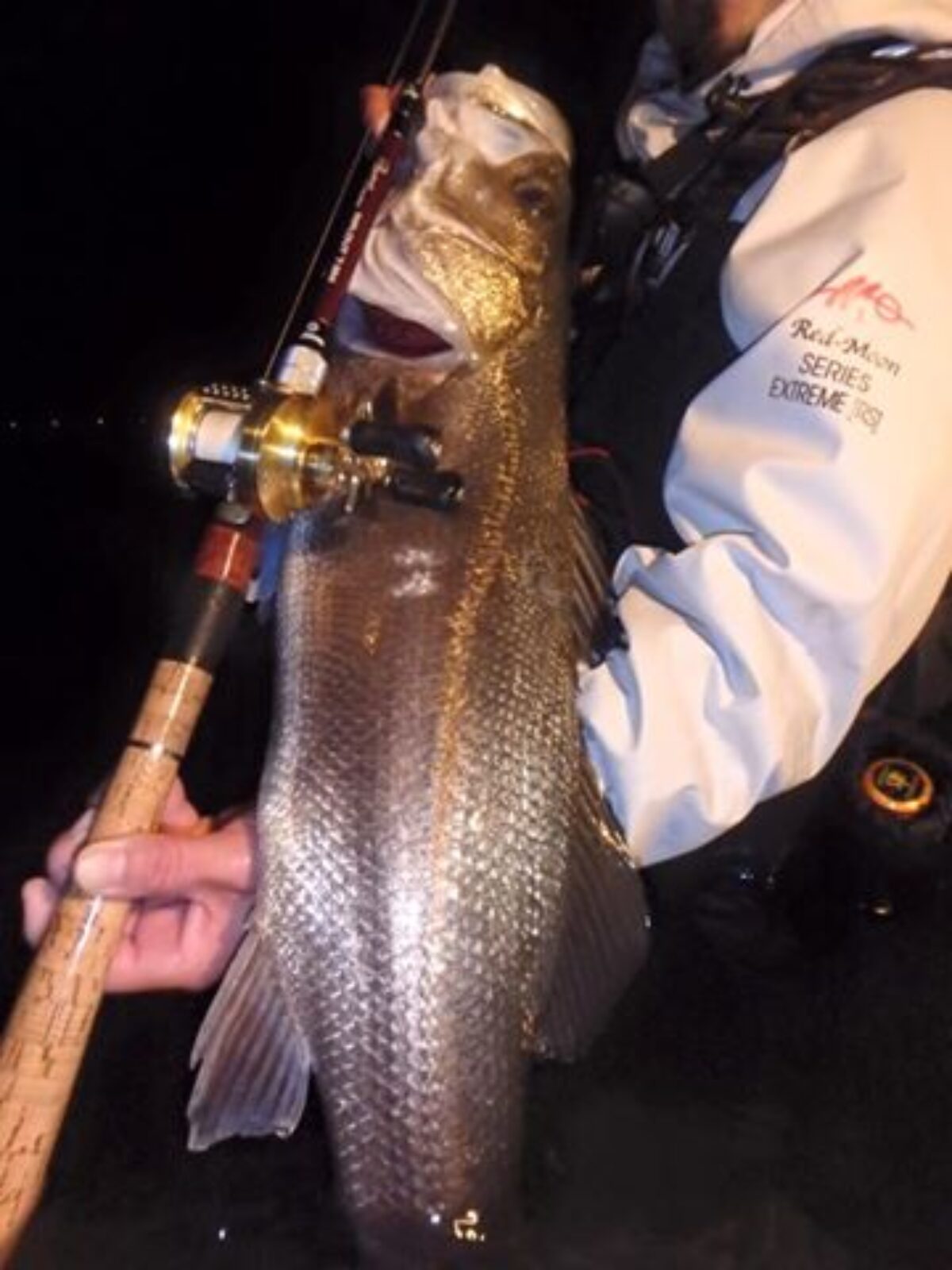 もちろん相棒は来年発売予定のBeams RIPLOUT 78M proto - Fishman