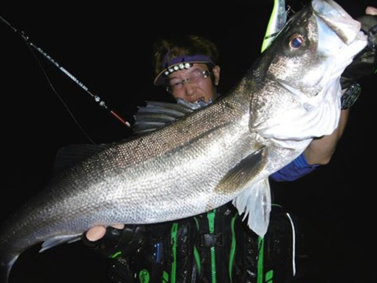 【ランカーシーバス狙いに！】ビッグベイト詰め合わせ 秋はランカーシーバス狙いの最大のチャンス - Fishman