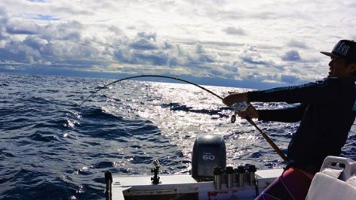 200 山採り　マンサク まんさくの花 純米吟醸生原酒 責めどり 1800ml 秋田の地酒屋 佐金酒店