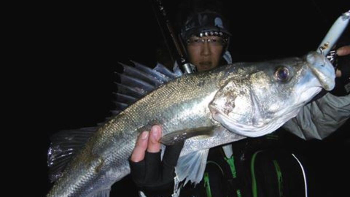 シーバスルアー ハタハタパターン用11本セット 冬の日本海をアツくする