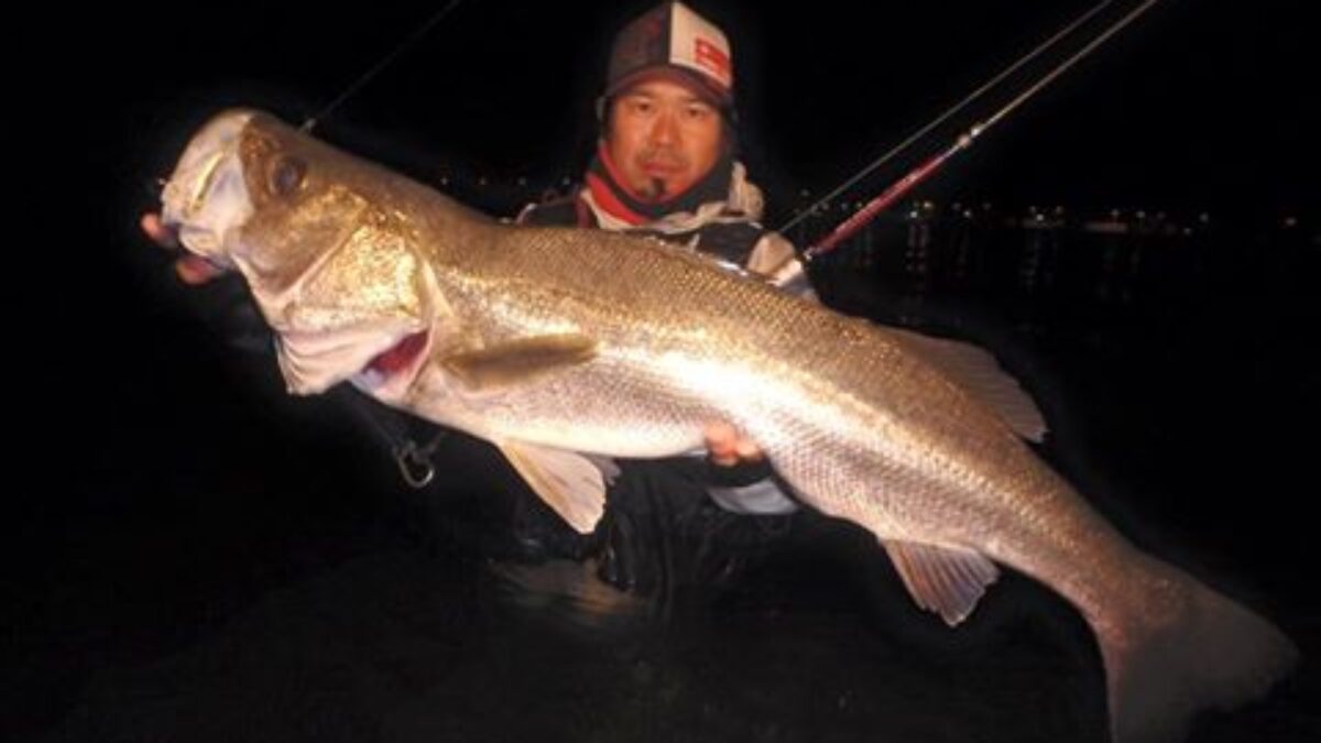 12391000_544654912366827_36962