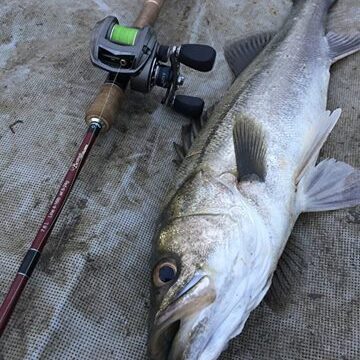 12642873_557283874437264_53716