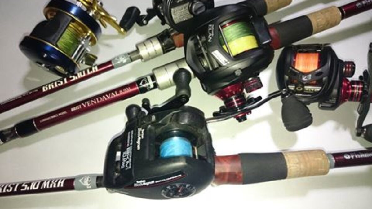 12742528_569318846567100_60796