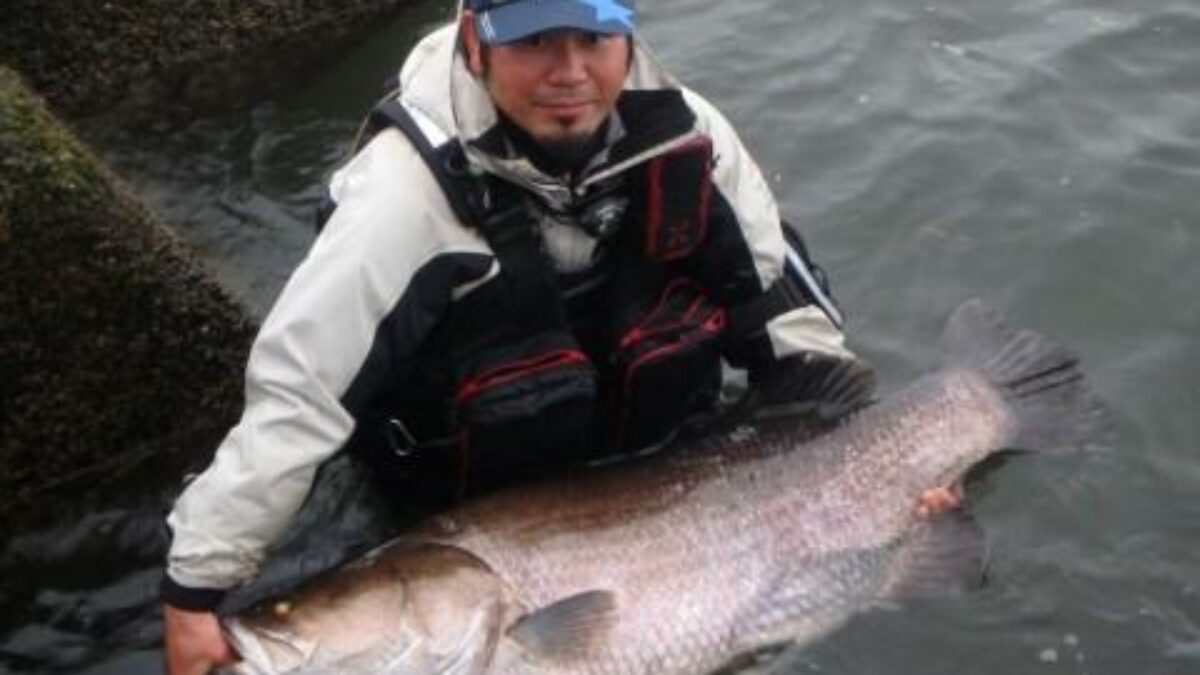 12745664_568711709961147_82197