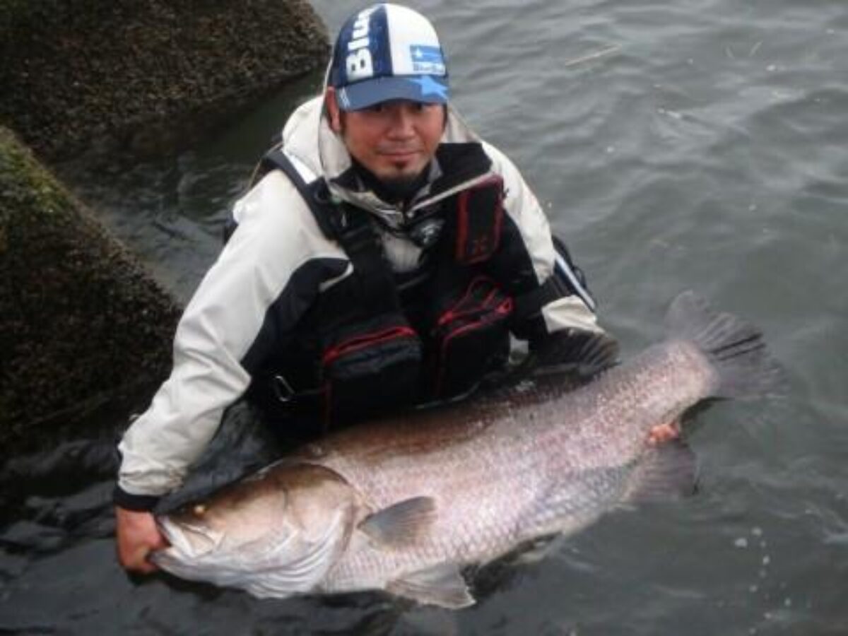 12745664_568711709961147_82197