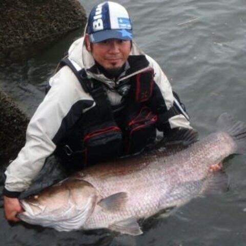 12745664_568711709961147_82197