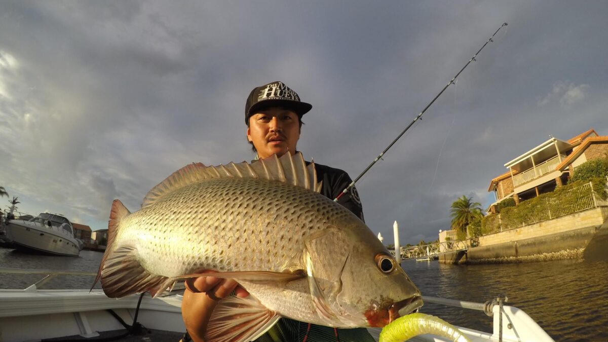 12764908_571695812996070_38783