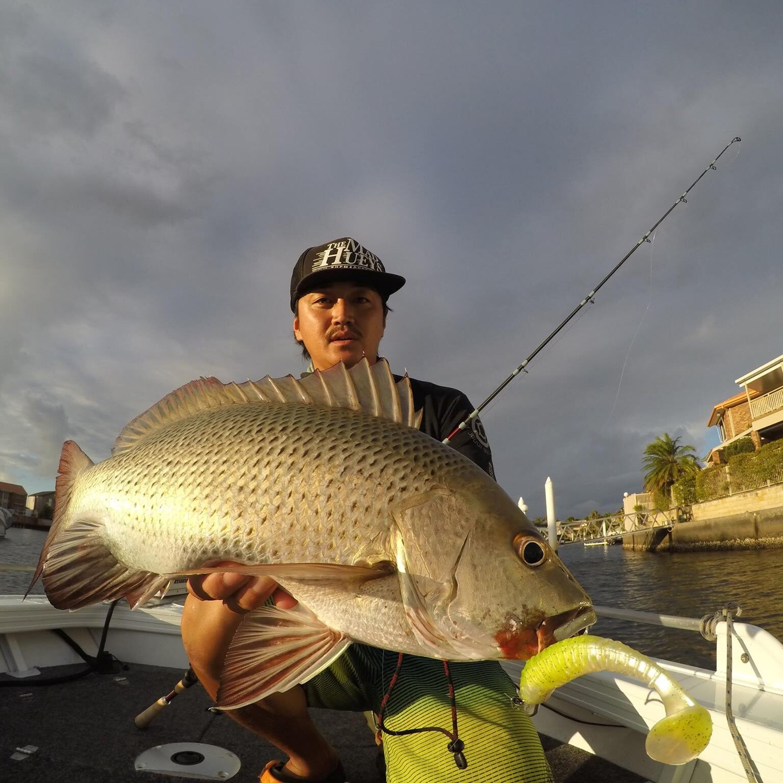 マングローブ ジャックス フィッシングシャツ 釣り魚 Lサイズ速乾性 夏