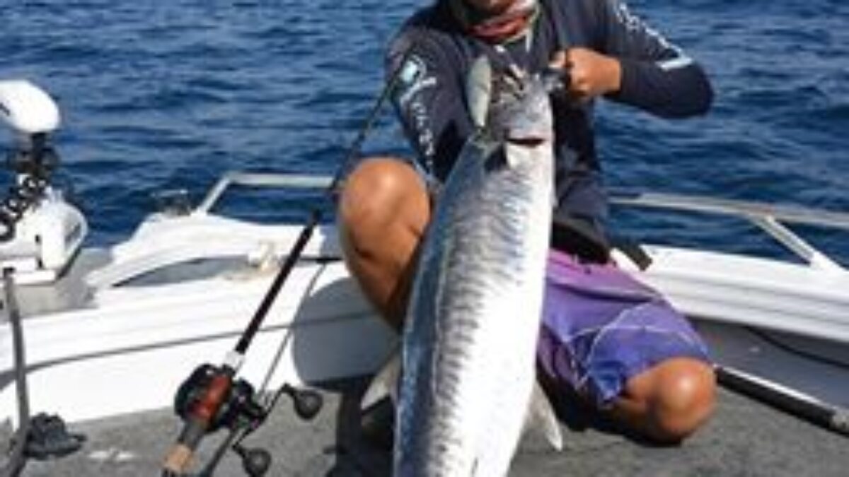 今回は最近爆った大型の鰆の動画をアップしました - Fishman