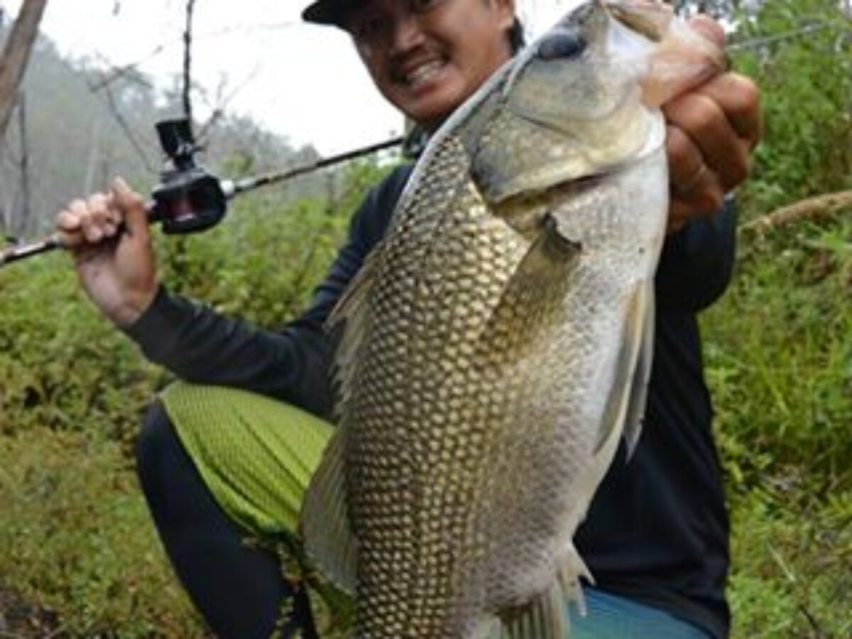 バス釣り サンノゼ カレロ リザバーでバス釣り。Bass Fishing in Calero
