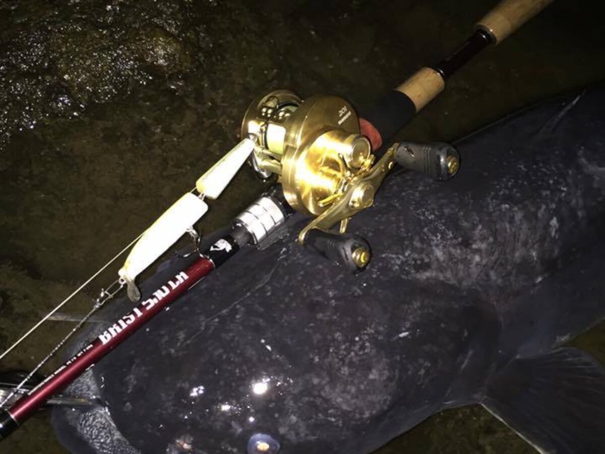 Fishmanユーザーさんが5.10LHでメーター越えのオオナマズ