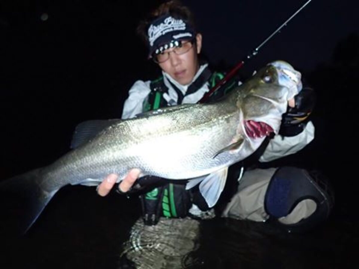 秋のランカーハント、主力をブリストマリノで行こうと思います