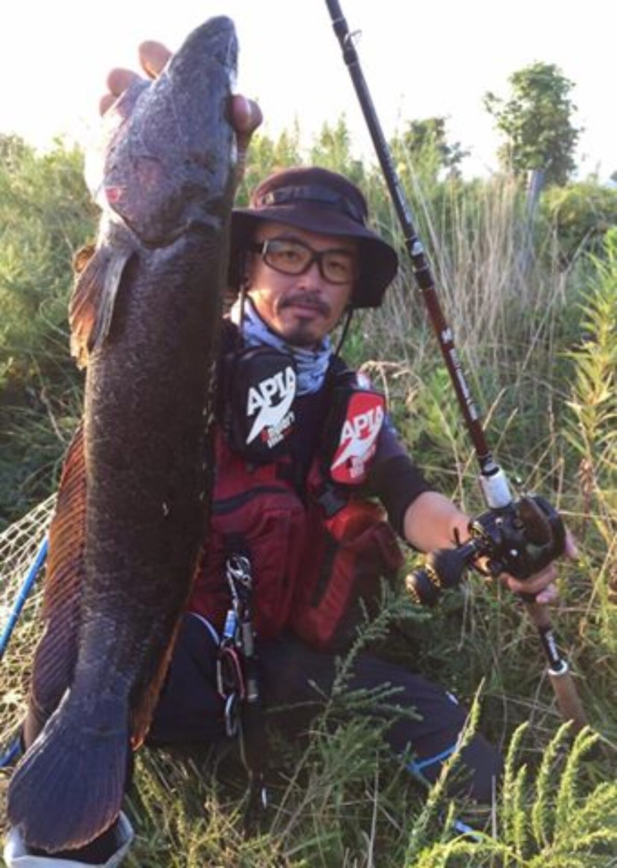 14232988_658018187697165_28610