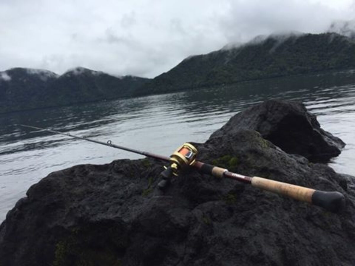 14523019_669108193254831_91570