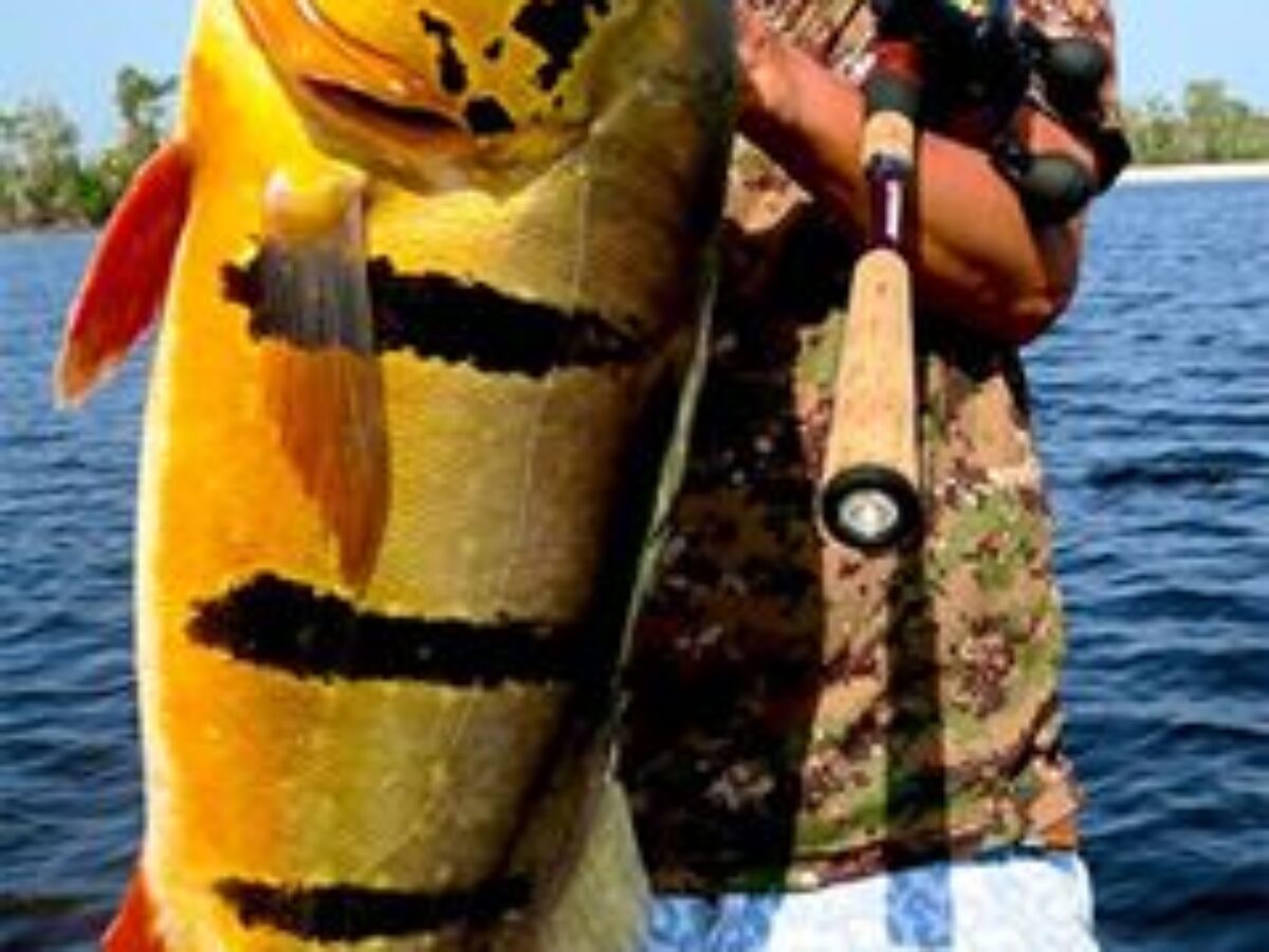 Fishman !! all over the world!! - Fishman（フィッシュマン）