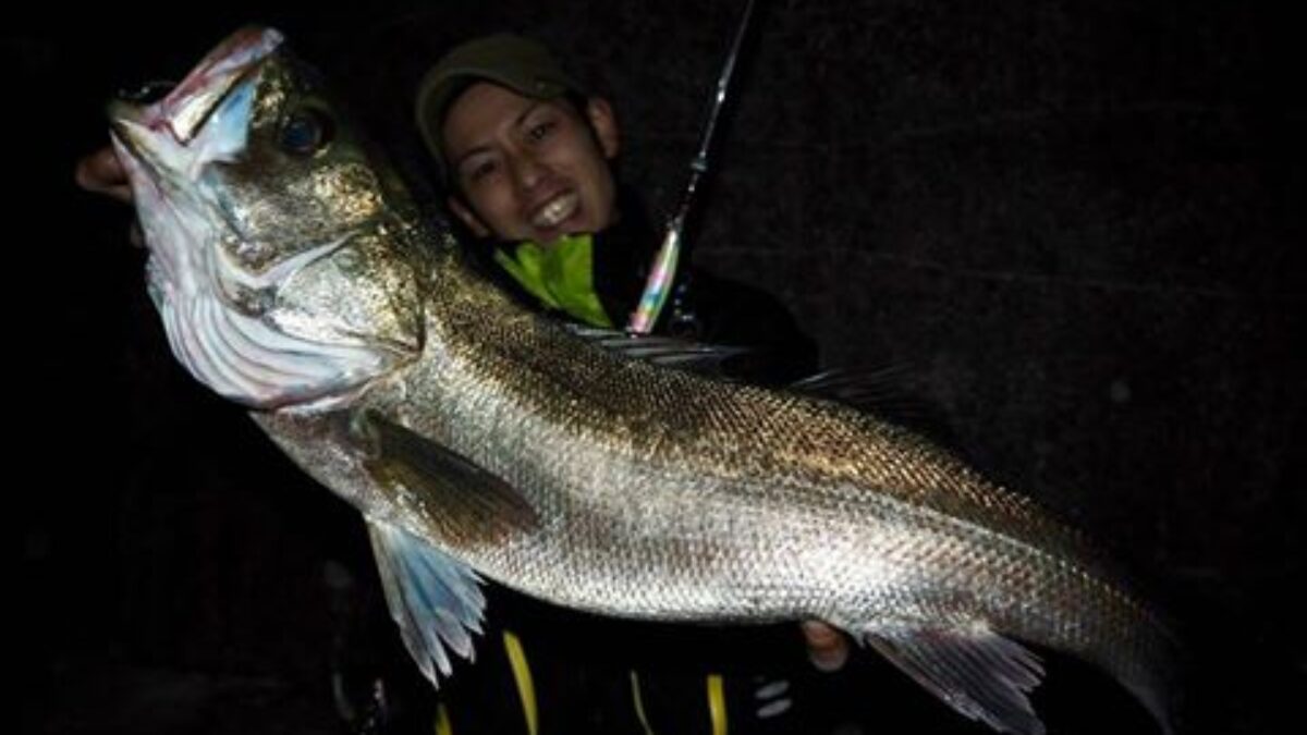 地元の大阪シーバス釣行へ行って来ました - Fishman（フィッシュマン）