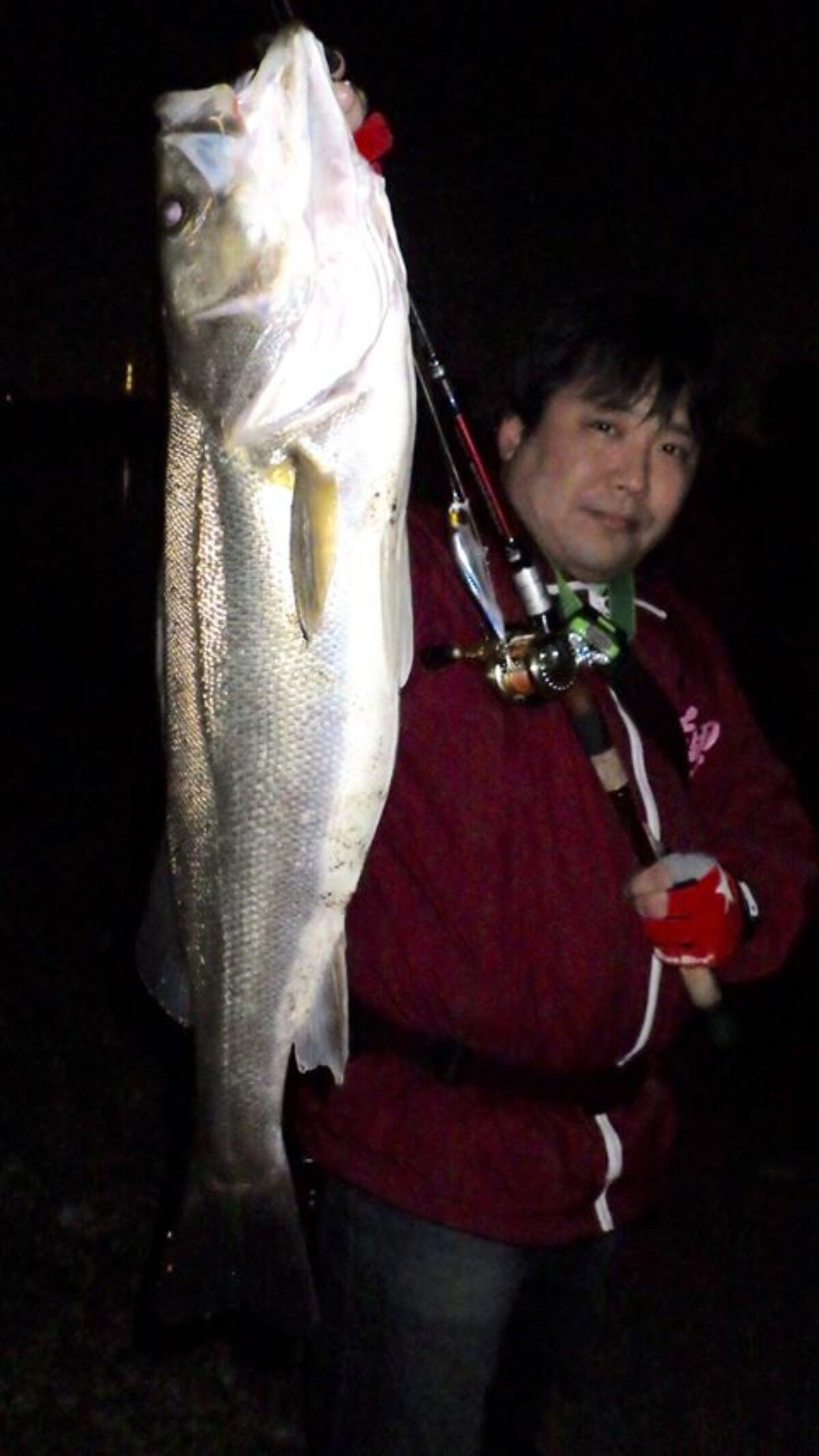 さかな 9/1 さかな ページ さかな 9/1 さかな ZX太刀魚 | 株式会社