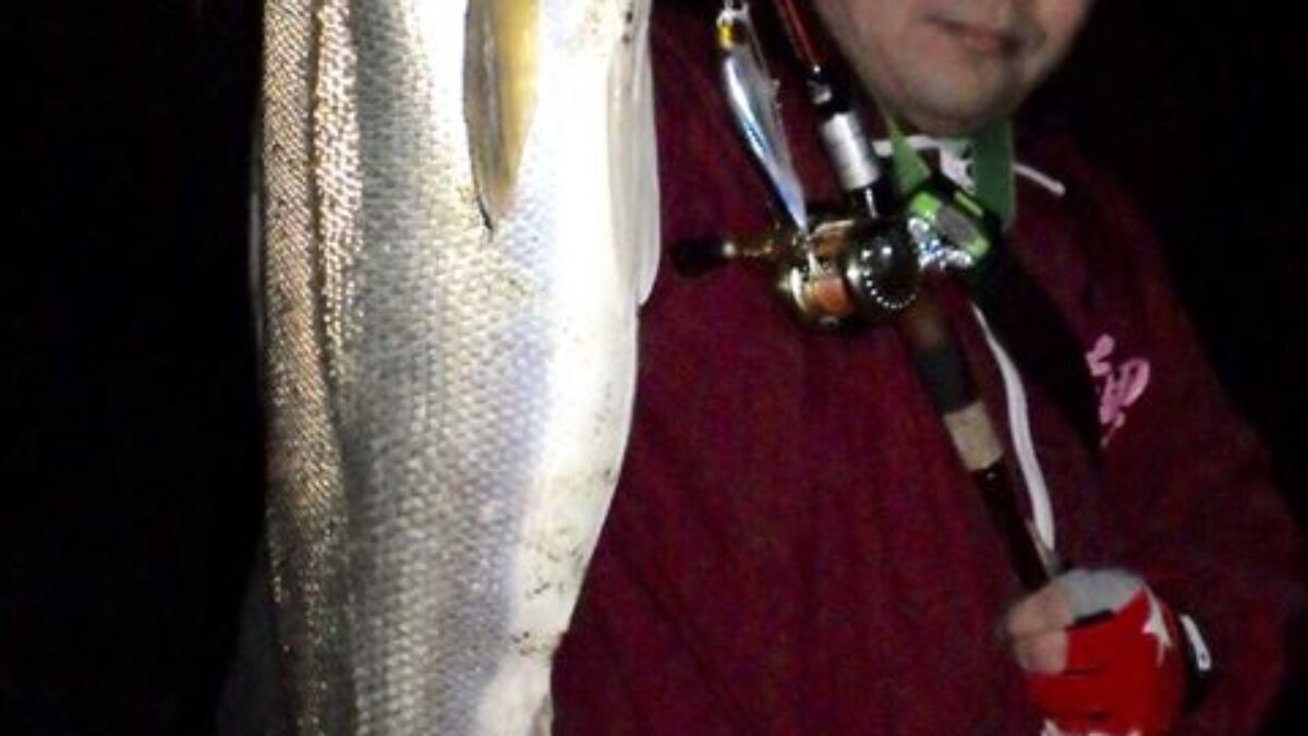 遊んでくれる魚達も、丸々と太った元気な魚がいっぱい＾＾ - Fishman