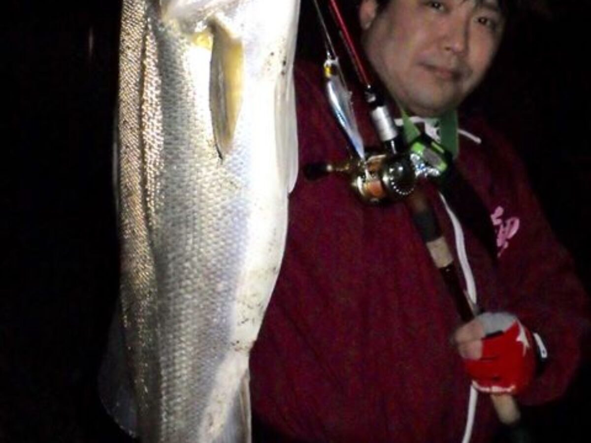 遊んでくれる魚達も、丸々と太った元気な魚がいっぱい＾＾ - Fishman