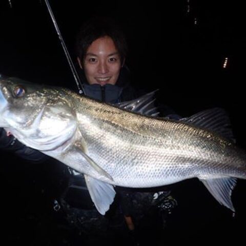 4ozのビックベイトをcomodoで楽々とキャスト - Fishman（フィッシュマン）