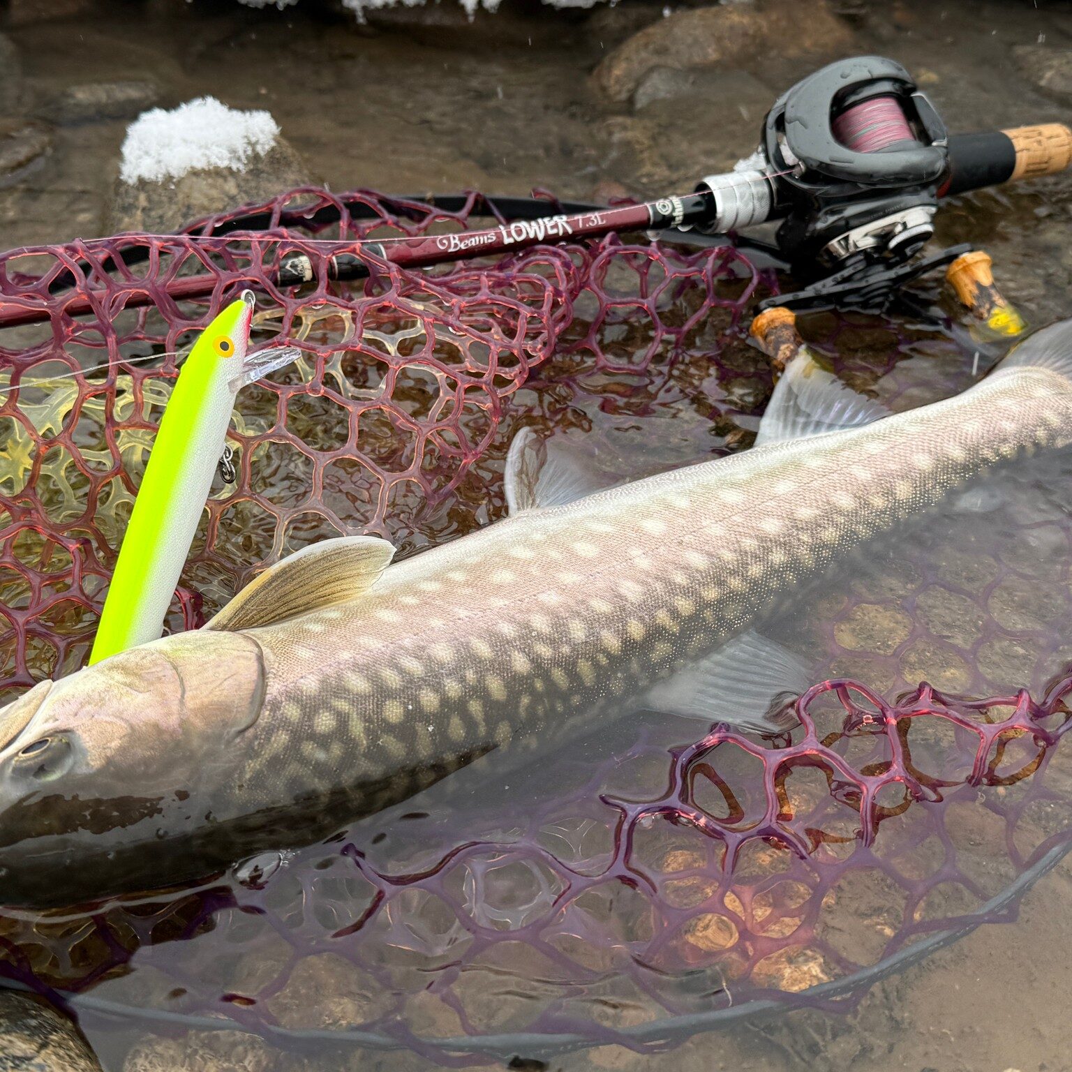 貴重なバイトを絡めとる1本 - Fishman（フィッシュマン）