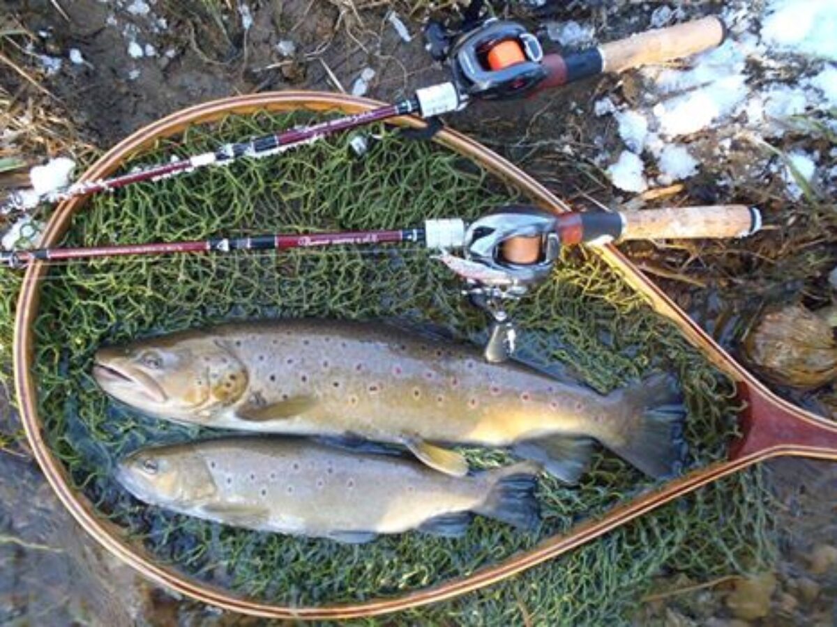 それはちゃんとボトムを攻めきれてるかどうかの違い - Fishman