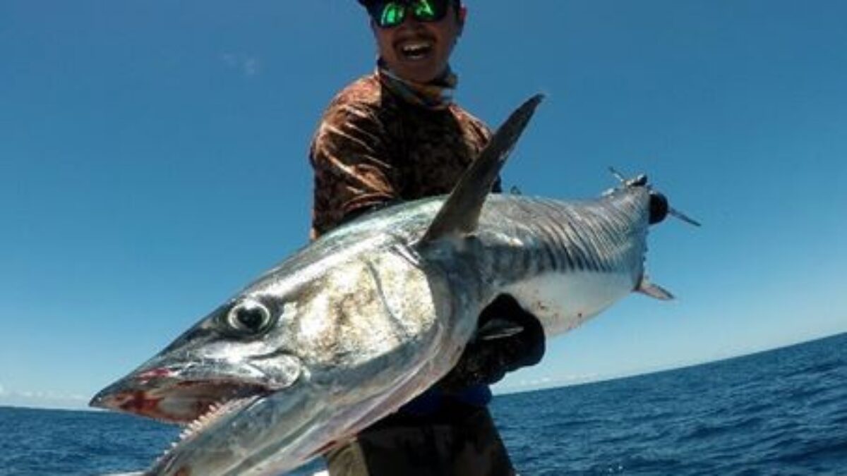 人気満点 夏のオフショアと言えばトップで鰆やGT - Fishman（フィッシュマン） その他