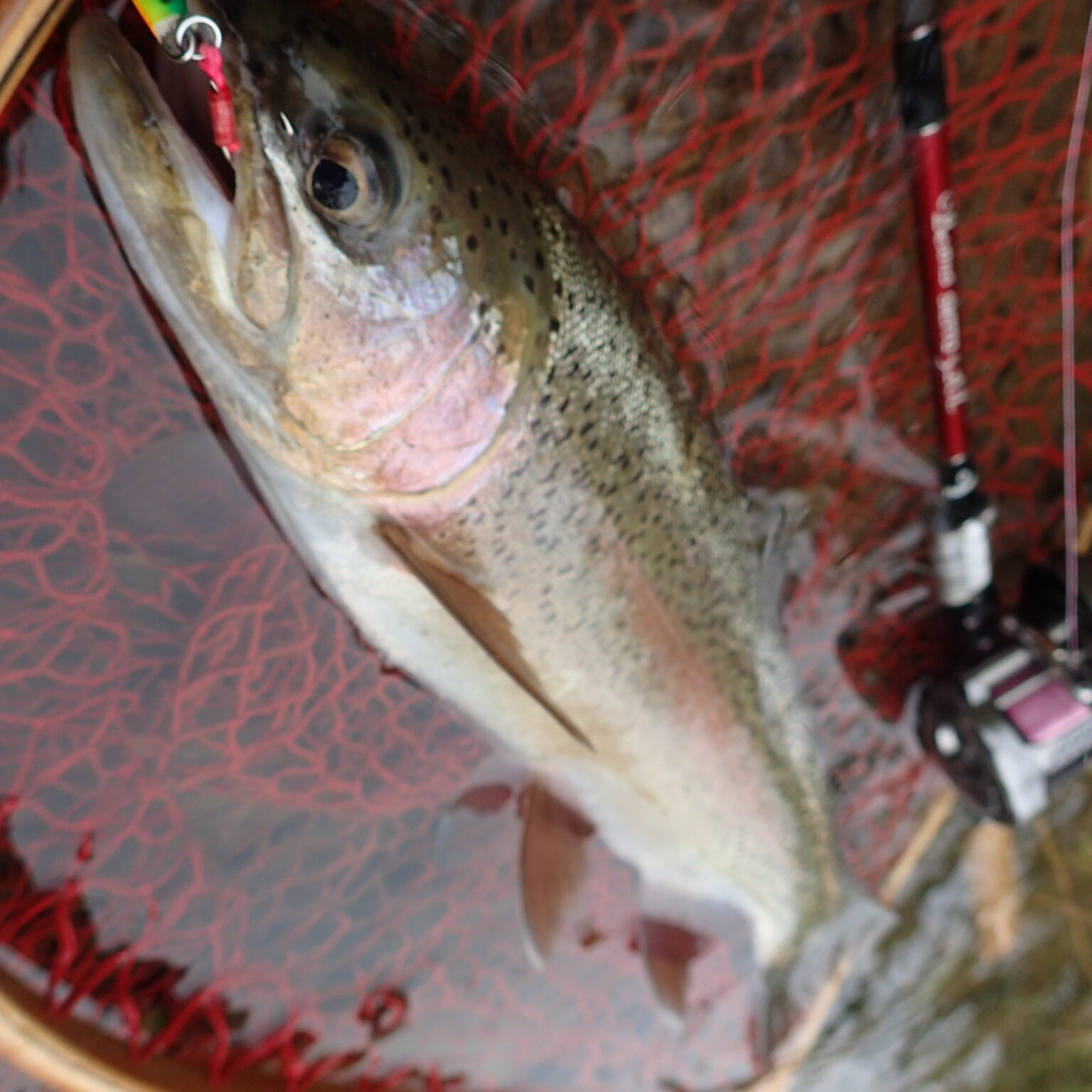 【DVD】BIG TROUT FISHING 春夏秋冬 湖のビッグトラウトフィッシング 土谷勇次郎