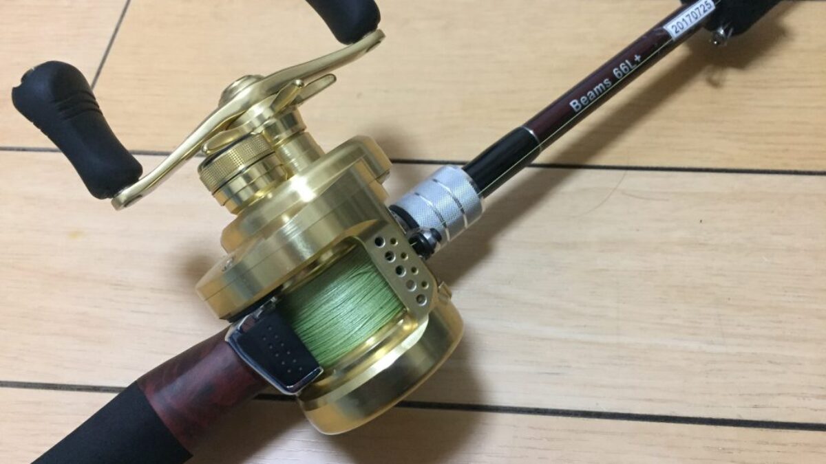 フィッシュマン　ビームスクローラ66L + フィッシュマン(Fishman) ビームス・クローラ(Beams CRAWLA) 6.6