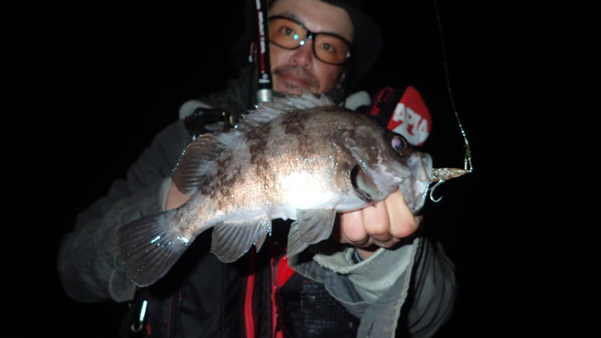 メバルのホタルイカパターン - Fishman（フィッシュマン）