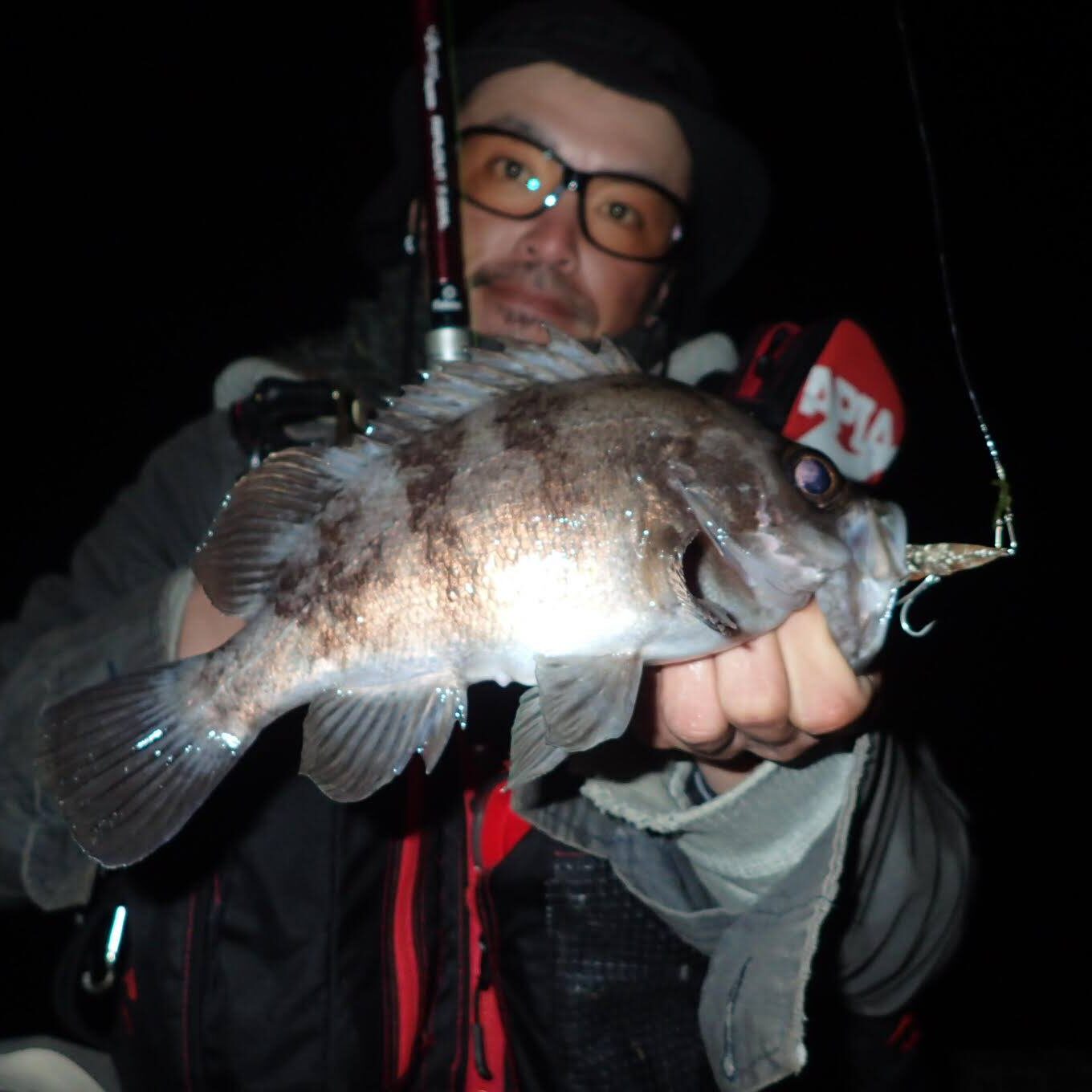 メバルのホタルイカパターン - Fishman（フィッシュマン）