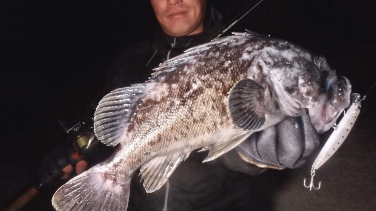 フィッシュマン ラウル製 70年後期～80年前期 