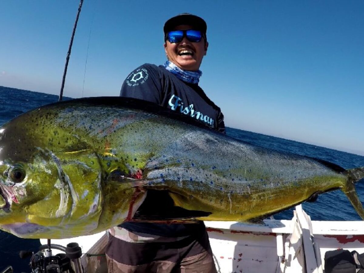 ブルーフィッシュ160 フィッシュマーク　シイラ カーペンターブルーフィッシュ160 Fishマーク ブルーフィッシュ