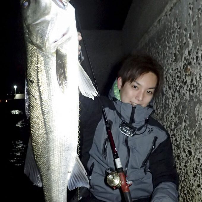 フィッシュマン　ベンダバール8.9　オマケ付き フィッシュマン(Fishman) ブリスト・ベンダバール(BRISTvendaval