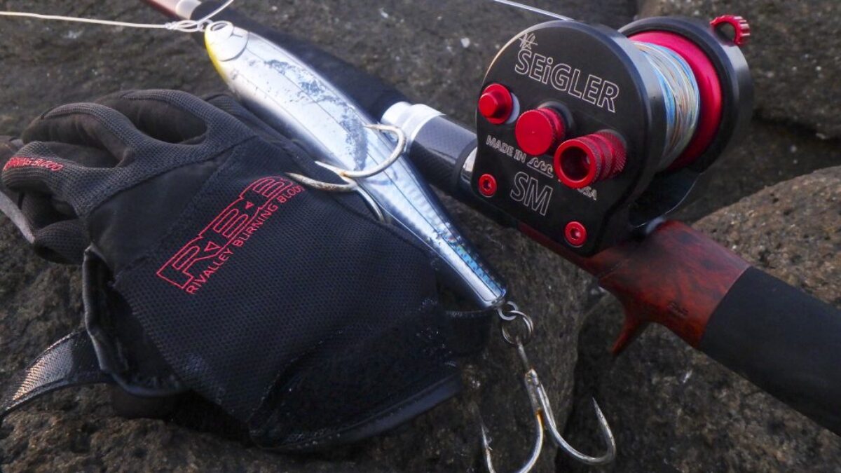 fishmanロッド bfsベイトリールSET（kotubuさん専用） reel-main-e1557391324927-