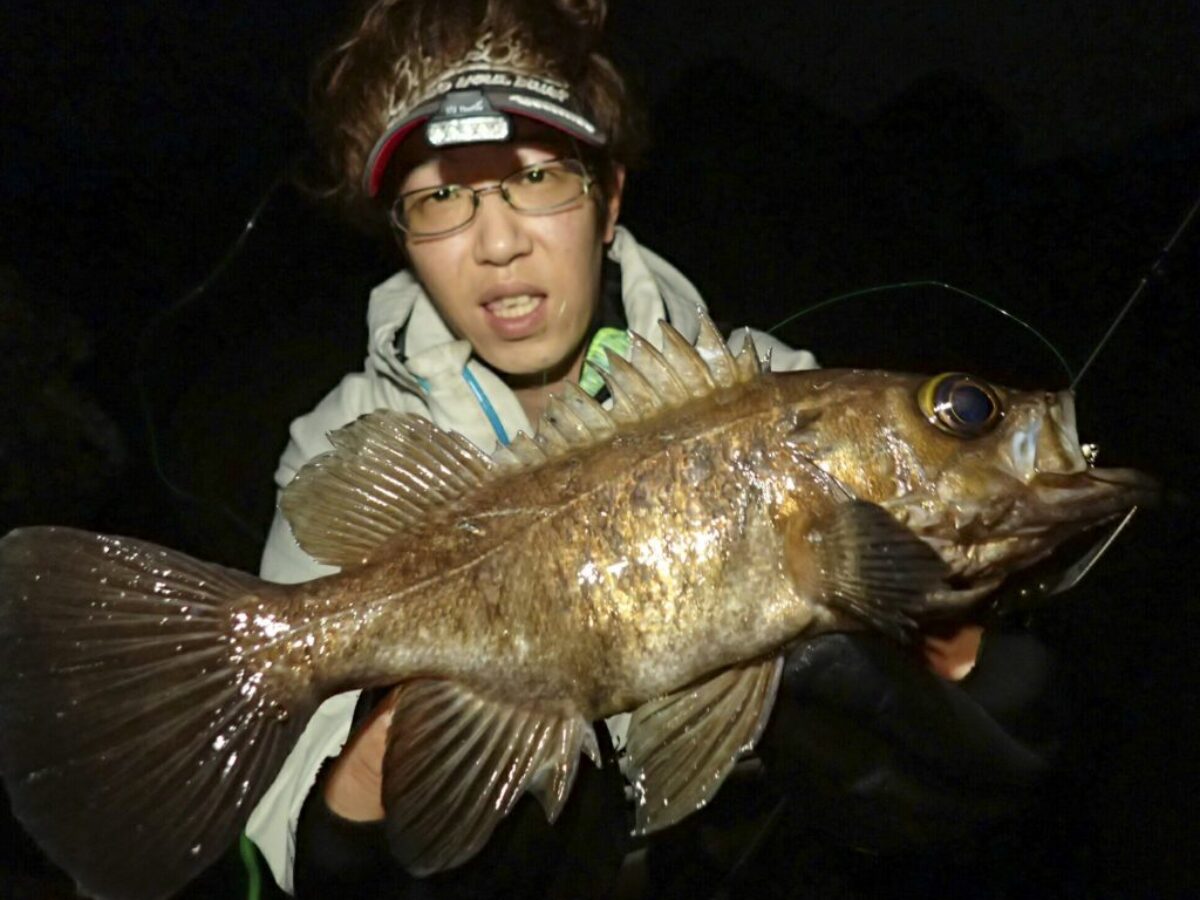 不完全燃焼の富山ホタルイカパターンからの尺超えメバル - Fishman