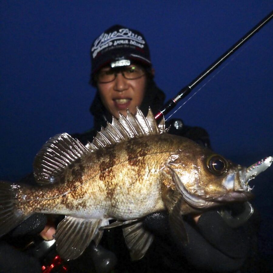 【DRAIMON】フィッシュマン　インテ7.7UL フィッシュマン(Fishman) ビームス インテ(Beams inte) 7.7UL Fishman