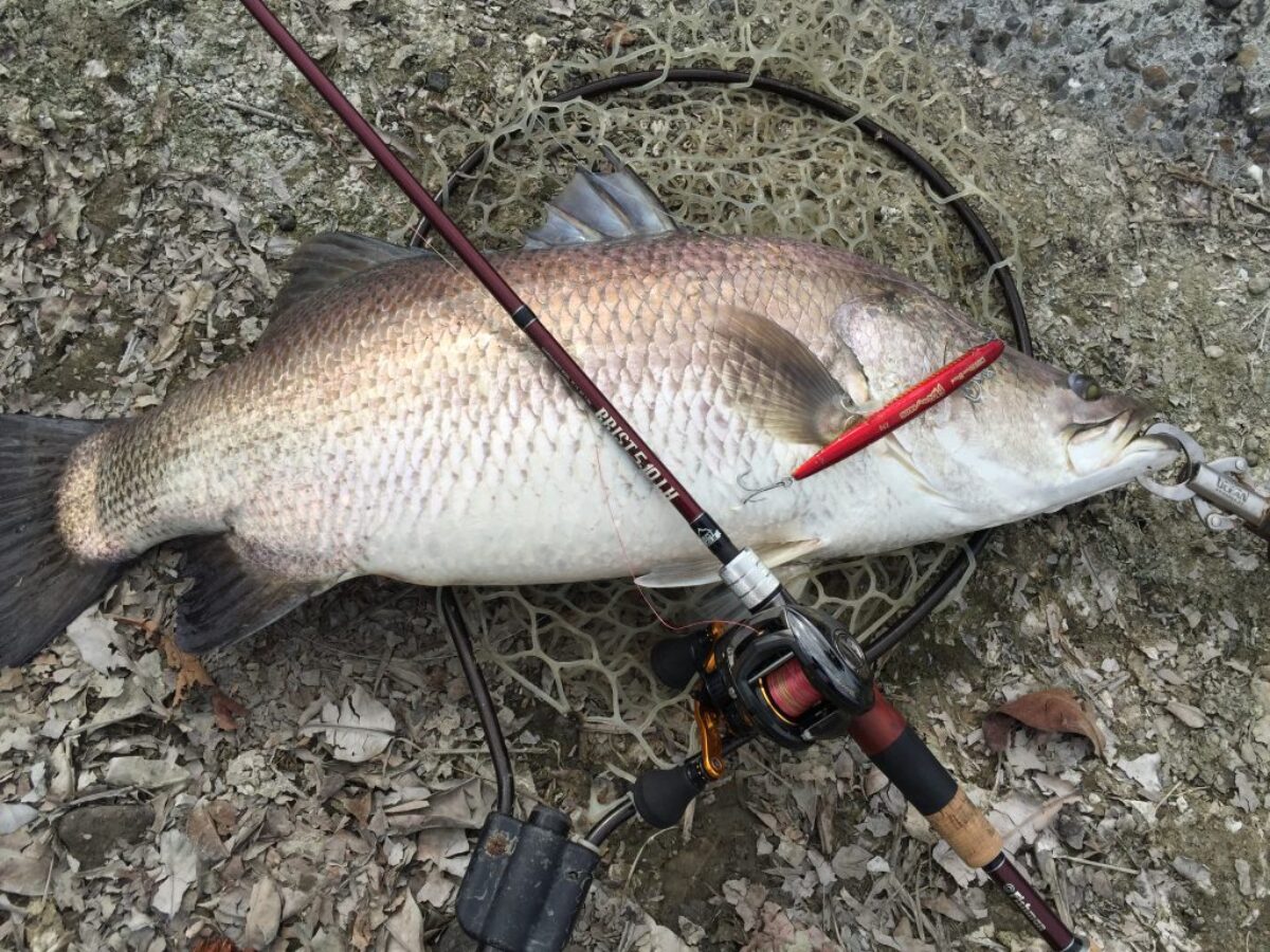 ベイトキャスティングのコツについて - Fishman（フィッシュマン）