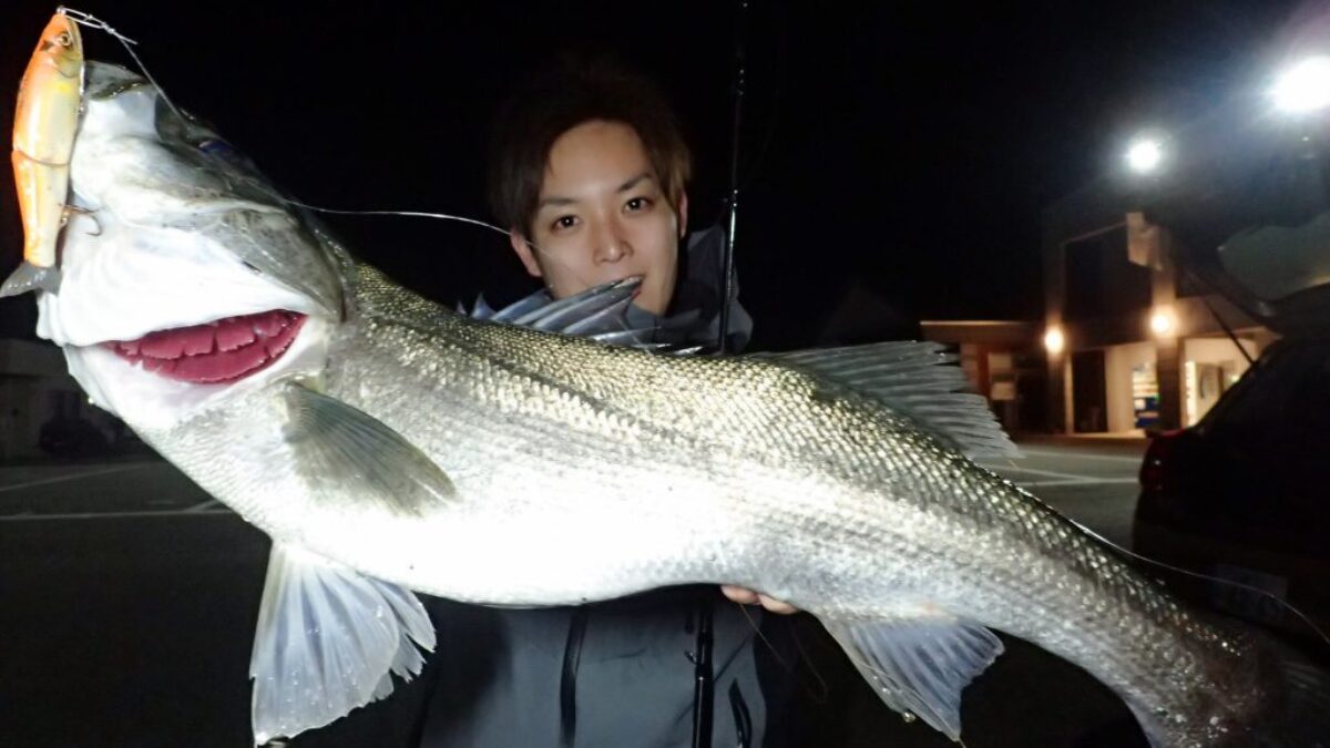 フィッシュマン Beams CRAWLA8.3L＋ Beams BeamsCRAWLA8.3L＋（ビームス クローラ）| リバーシーバス