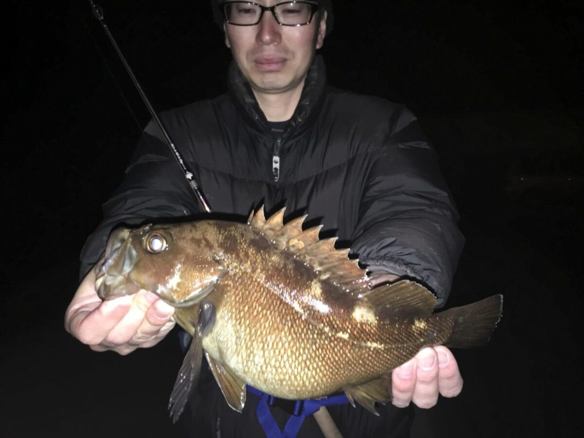 Beams CRAWLA6.6L+でエゾメバル釣り！ - Fishman（フィッシュマン）